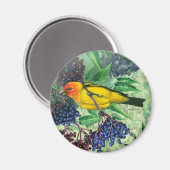 Western Tanager Magnet (Vorderseite/Rückseite)