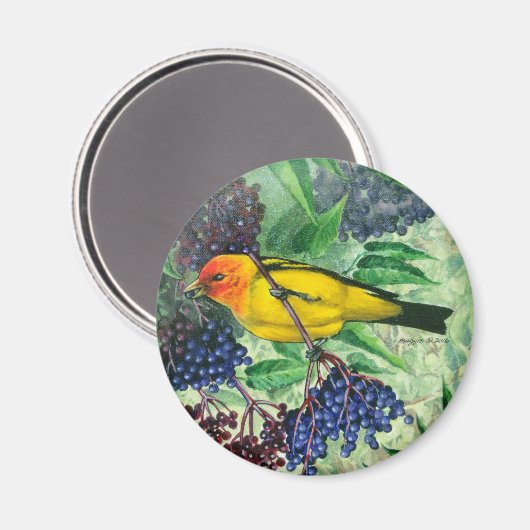 Western Tanager Magnet (Vorderseite/Rückseite)