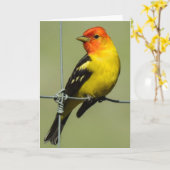 Western Tanager Notecard Karte (Gelbe Blume)