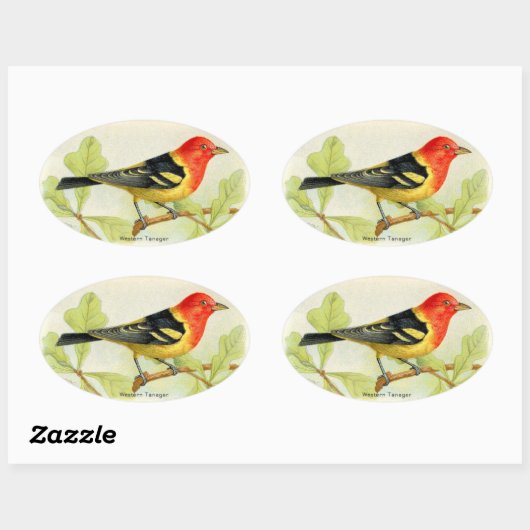 Western Tanager Ovaler Aufkleber (Blatt)