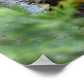 Western Tanager Print Poster (Ecke)