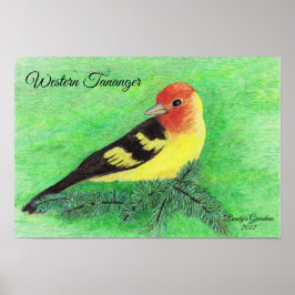 Western Tananger Bird Farbige Stifte Kunst Poster