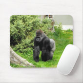 Western-Tiefland Silverback-Mannesgorilla Mousepad (Mit Mouse)