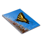 Western Tiger Frack Butterfly auf dem Buckeye Notizblock (Rechte Seite)