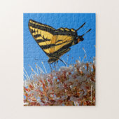 Western Tiger Frack Butterfly auf dem Buckeye Puzzle (Vertikal)