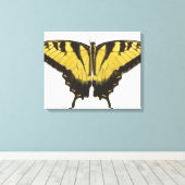 Western Tiger Frack Butterfly Leinwanddruck (Insitu (Holzboden))