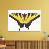 Western Tiger Frack Butterfly Leinwanddruck (Insitu (Wohnzimmer))