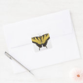 Western Tiger Frack Butterfly Quadratischer Aufkleber (Umschlag)
