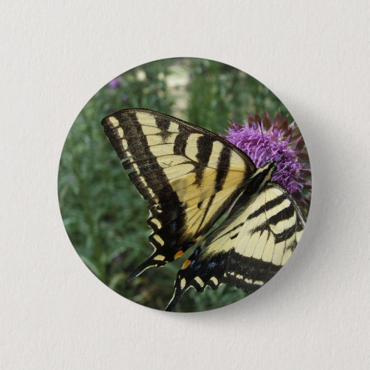Western-Tiger-Frack-Schmetterling Button (Vorderseite)