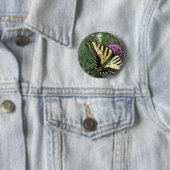 Western-Tiger-Frack-Schmetterling Button (Beispiel)