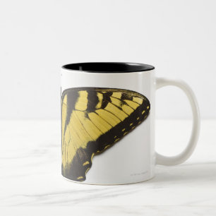 Western-Tiger-Frack-Schmetterling Zweifarbige Tasse