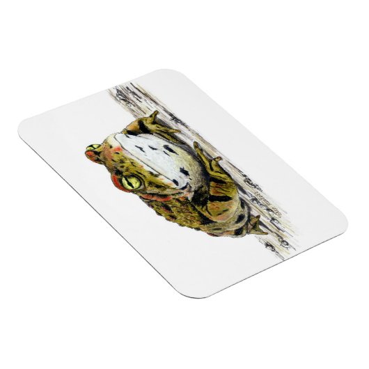 Western Toad Magnet (Rechte Seite)