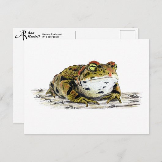 Western Toad Postkarte (Vorne/Hinten)