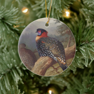 Western tragopan, Vogelbilder Keramik Ornament