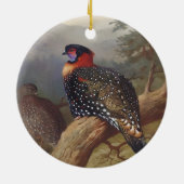 Western tragopan, Vogelbilder Keramik Ornament (Hinten)