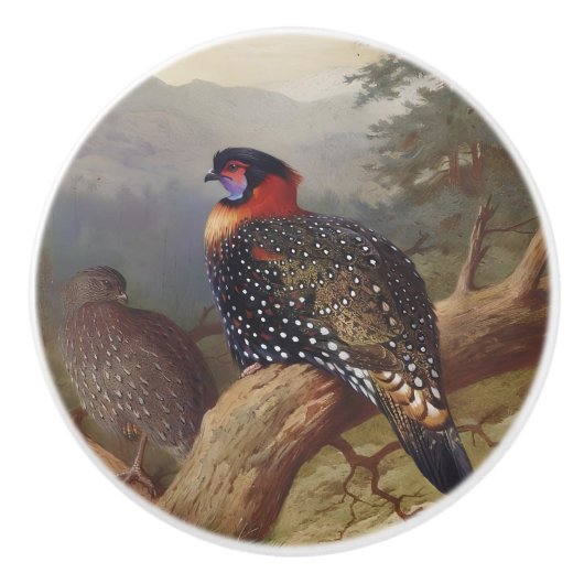 Western tragopan, Vogelbilder Keramikknauf (Vorderseite)