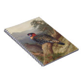 Western tragopan, Vogelbilder Notizblock (Rechte Seite)