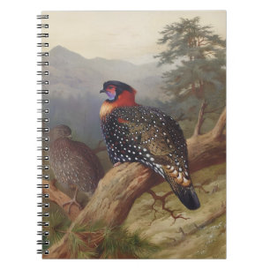 Western tragopan, Vogelbilder Notizblock
