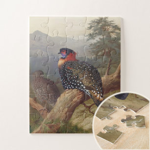 Western tragopan, Vogelbilder Puzzle