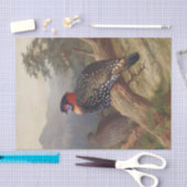 Western tragopan, Vogelbilder Seidenpapier (Handwerk)