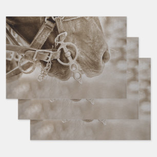 Western Vintag Sepia Rustikale Decoupage Geschenkpapier Set