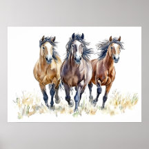 Western Wild & Free Mustang Pferde