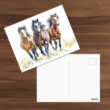Western Wild & Free Mustang Pferde Postkarte