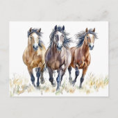 Western Wild & Free Mustang Pferde Postkarte (Vorderseite)