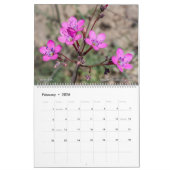 Western Wildblumen 2025 Kalender (Feb 2026)