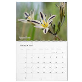 Western Wildblumen 2025 Kalender (Jan 2027)
