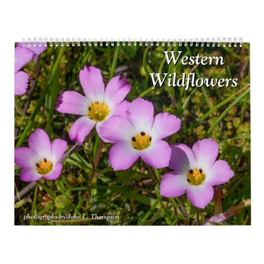 Western Wildblumen 2025 Kalender (Titelbild)