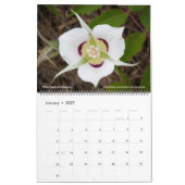 Western-Wildblumen-Kalender für 2024 Kalender (Jan 2027)
