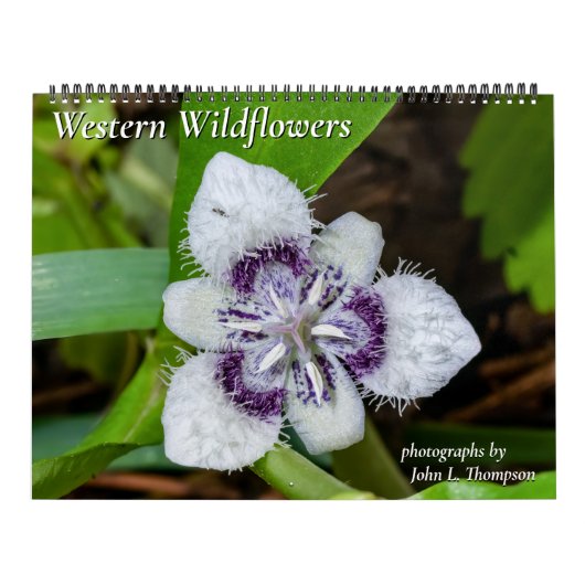 Western-Wildblumen-Kalender für 2024 Kalender (Titelbild)