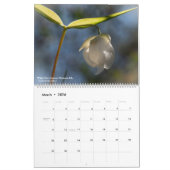 Western-Wildblumen-Kalender Kalender (Mär 2026)