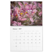 Western-Wildblumen-Kalender Kalender (Feb 2027)