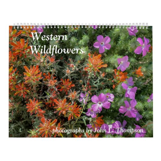 Western-Wildblumen-Kalender Kalender (Titelbild)