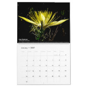 Western-Wildblumen-Kalender Kalender (Jan 2027)