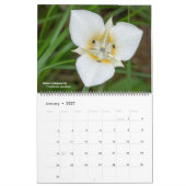 Western-Wildblumen-Kalender Kalender (Jan 2027)