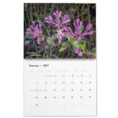 Western-Wildblumen-Kalender Kalender (Feb 2027)