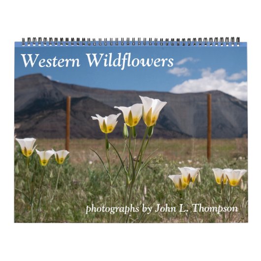 Western-Wildblumen-Kalender Kalender (Titelbild)