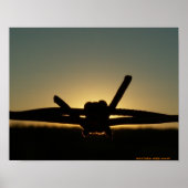 Western Wire Wasp Poster (Vorne)