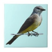 WesternB45 Kingbird Fliese (Vorderseite)