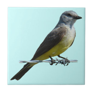 WesternB45 Kingbird Fliese