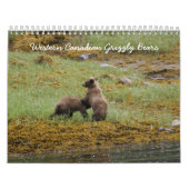 Westernkanadische Grizzly-Bären Kalender (Titelbild)