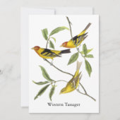 WesternTanager - John James Audubon Einladung (Vorderseite)