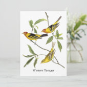 WesternTanager - John James Audubon Einladung (Stehend Vorderseite)