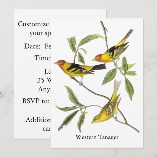 WesternTanager - John James Audubon Einladung (Vorne/Hinten)