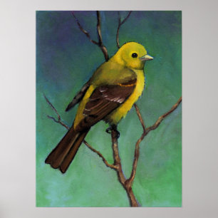 WesternTanager, Tier-Kunst-Plakat Poster