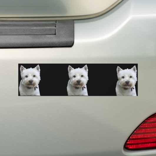 Westhochland Terrier Autoaufkleber (Auf Auto)