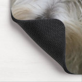 Westhochland-Terrier-Mausunterlage Mousepad (Ecke)